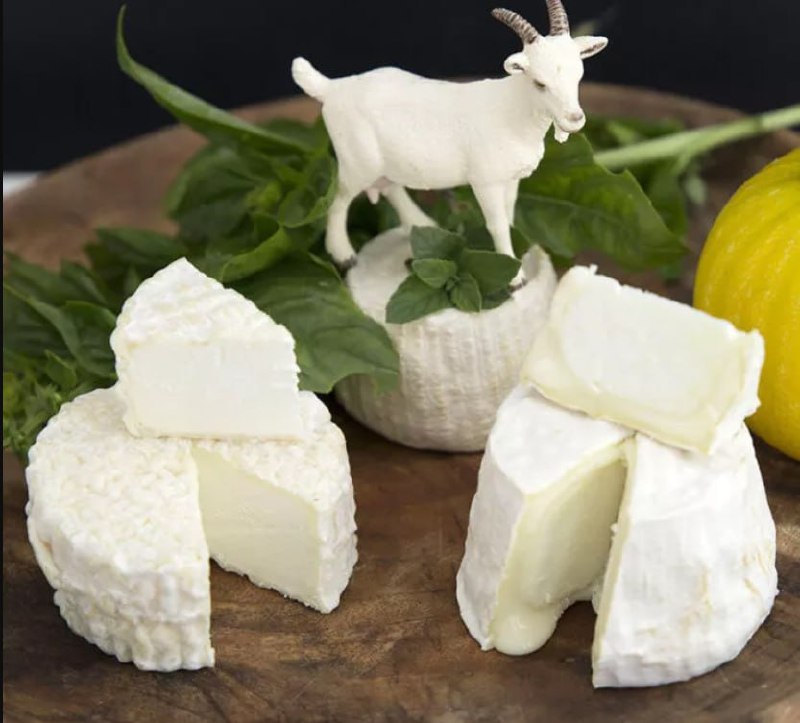 Kitsejuustu kasulikkus organismile